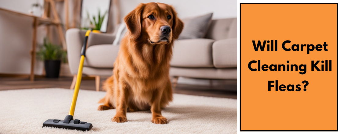 Will Carpet Cleaning Kill Fleas?