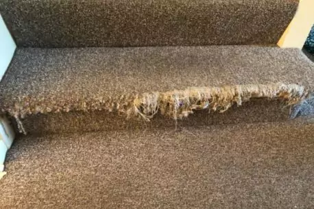 Stair Carpet Repair